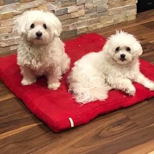 Meet your Posher, Catherine